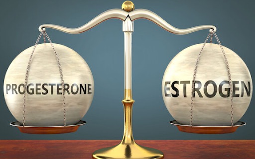 Estrogen-va-progesterone-la-hai-noi-tiet-to-co-vai-tro-vo-cung-quan-trong-doi-voi-suc-khoe-cua-phu-nu
